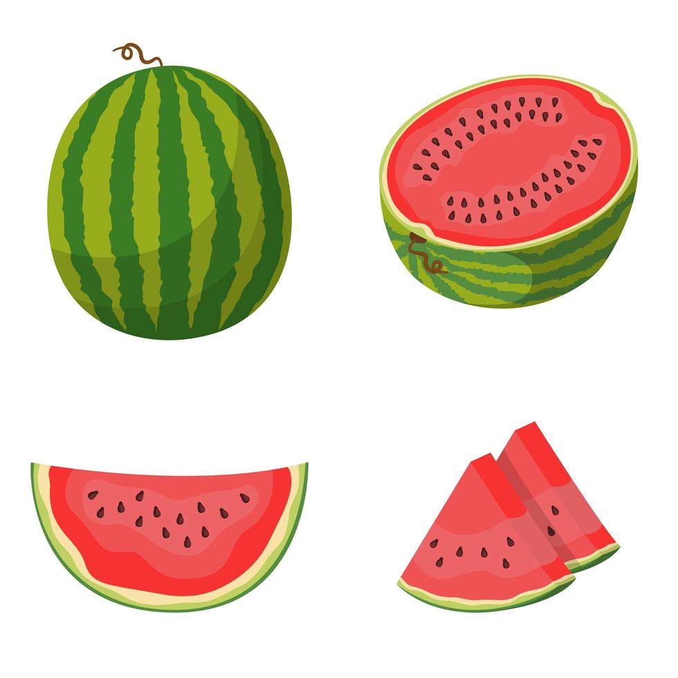 Whole and sliced watermelon set vector