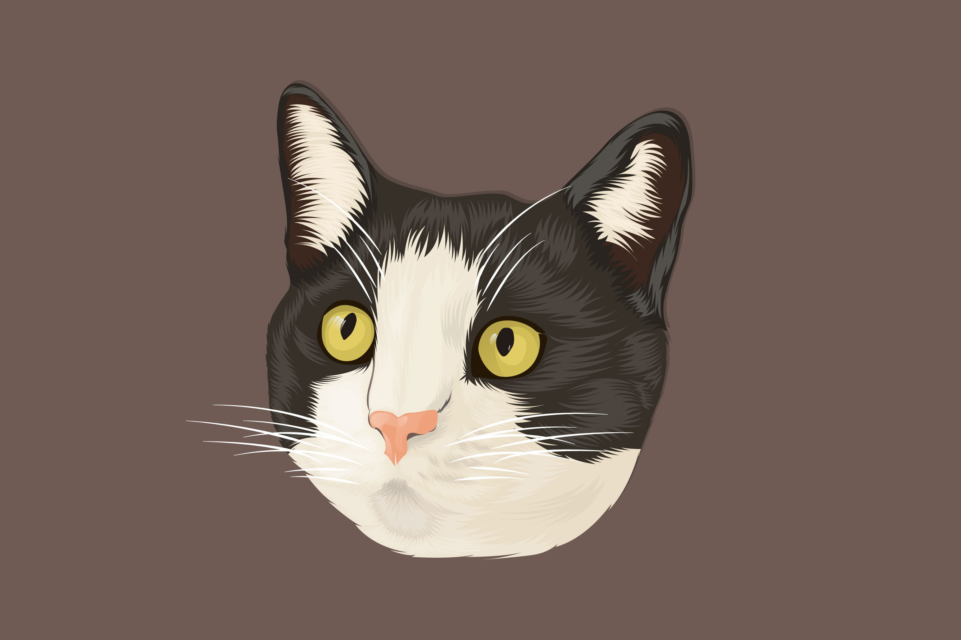 Black and white cat on sale head