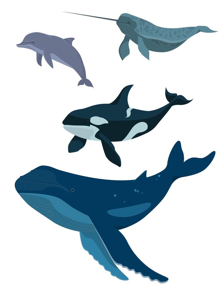 conjunto de animales marinos vector