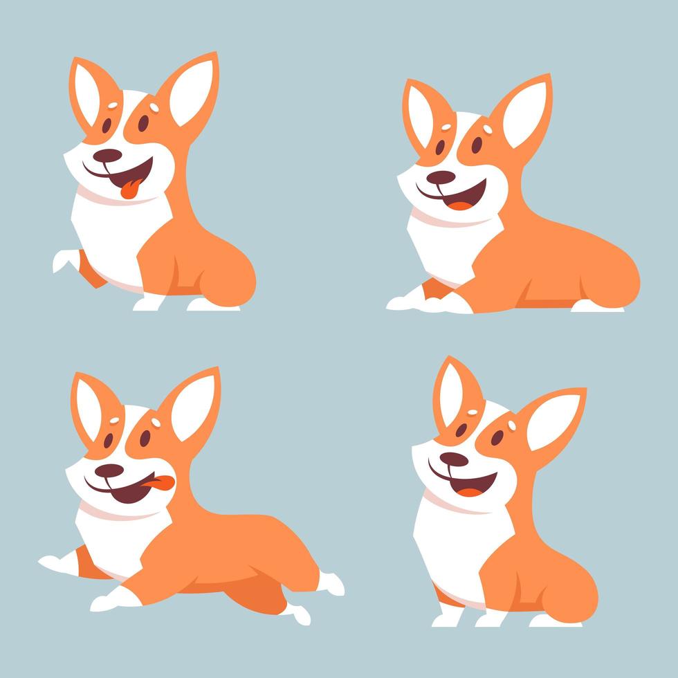 Corgi dog in different poses vector