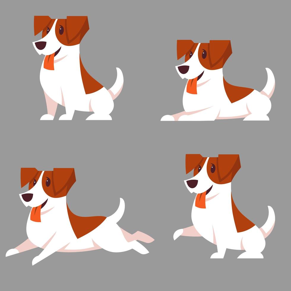 jack russell terrier en diferentes poses vector