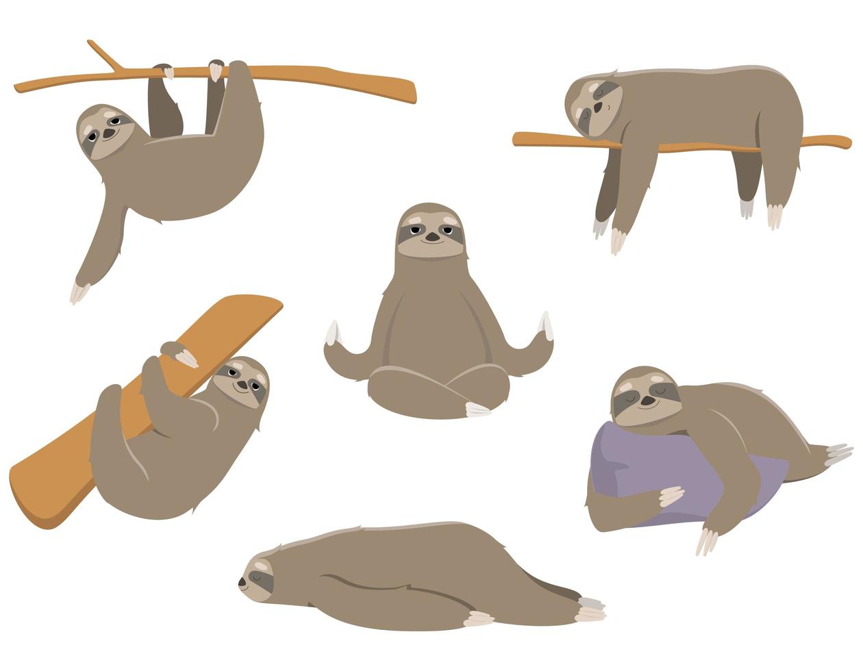 Sloth in different poses vector