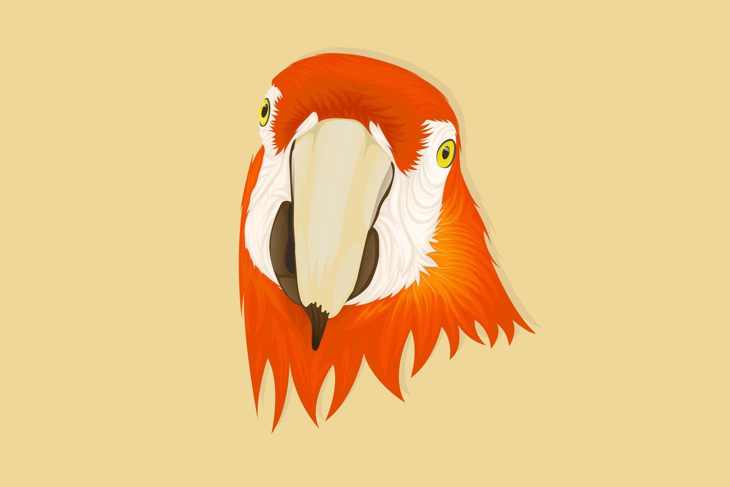 Parrot facing forward in realistic hand drawing style vector