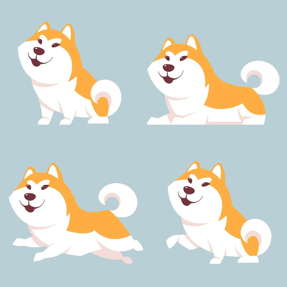 perro akita inu en diferentes poses vector