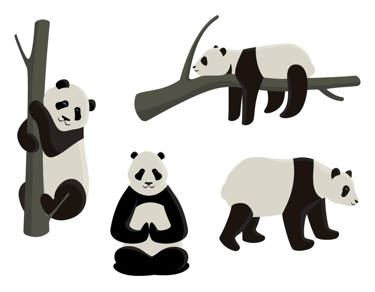 panda en diferentes poses. vector