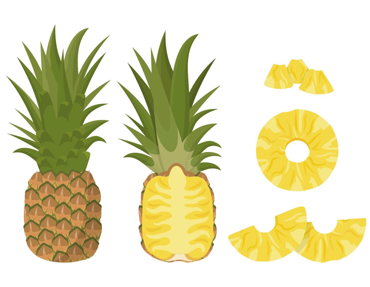 Whole and sliced pineapple set vector