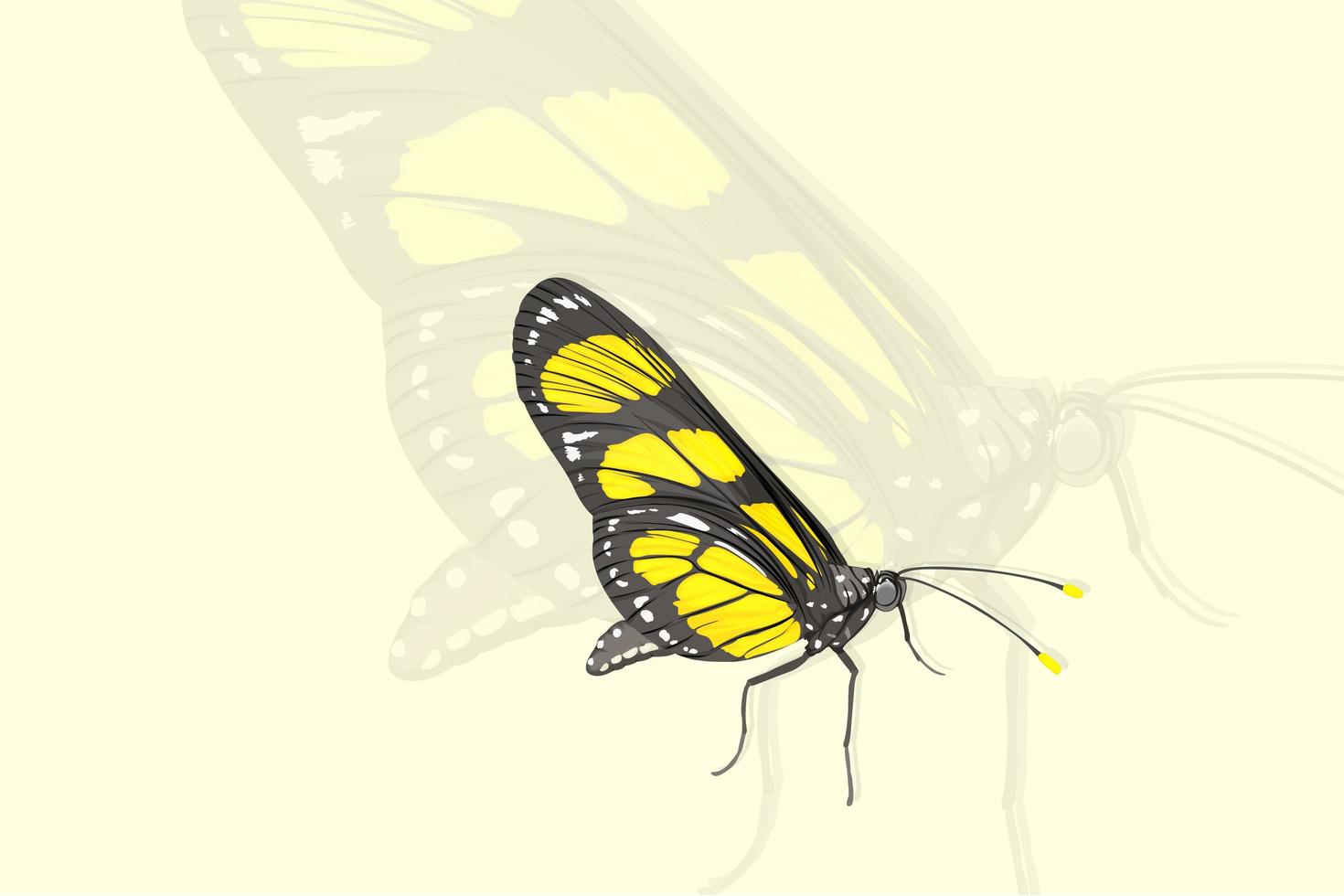 Yellow butterfly realistic style hand drawing vector