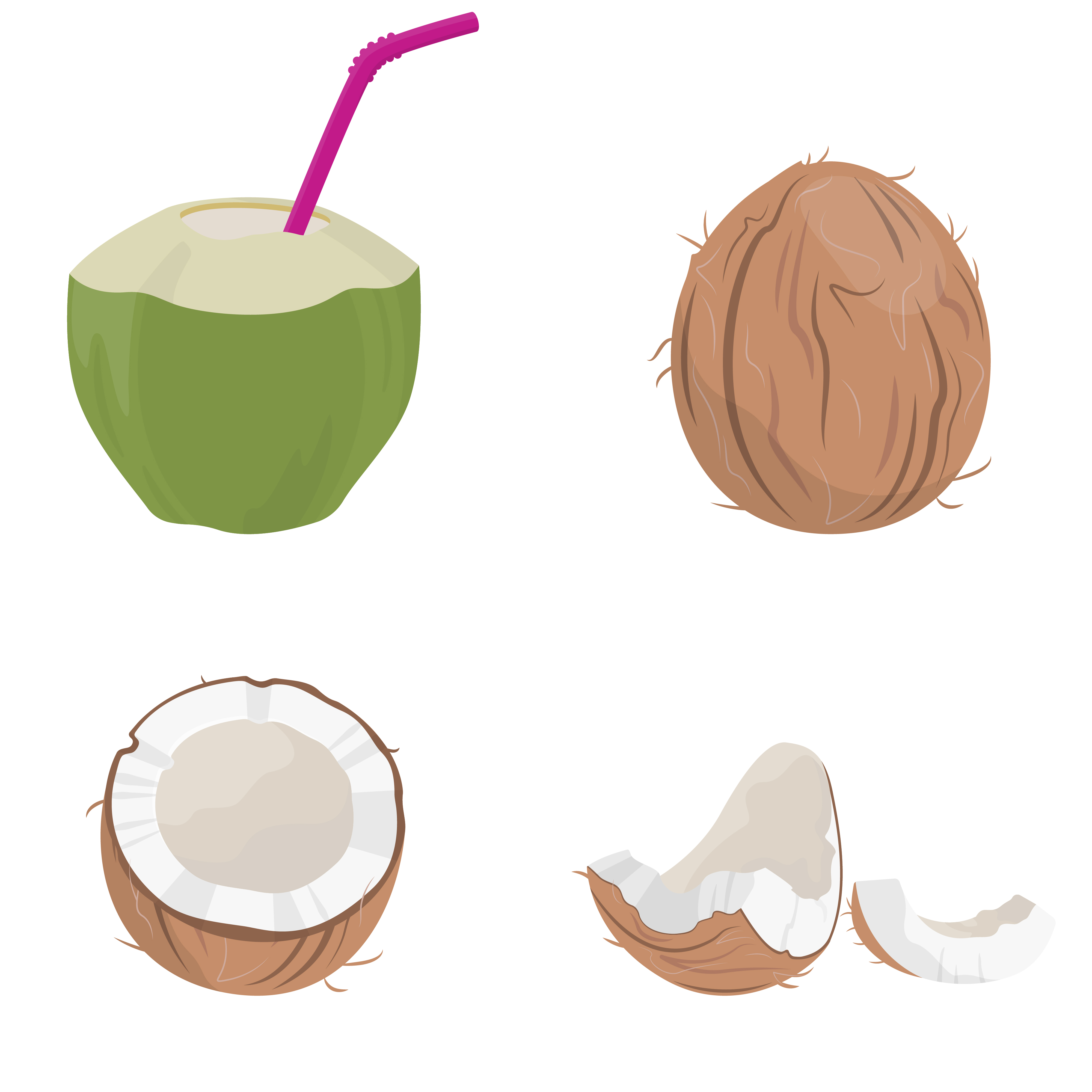 Conjunto de vectores aislados realistas en 3d de coco entero, mitades de  coco y hojas de palma 5539607 Vector en Vecteezy