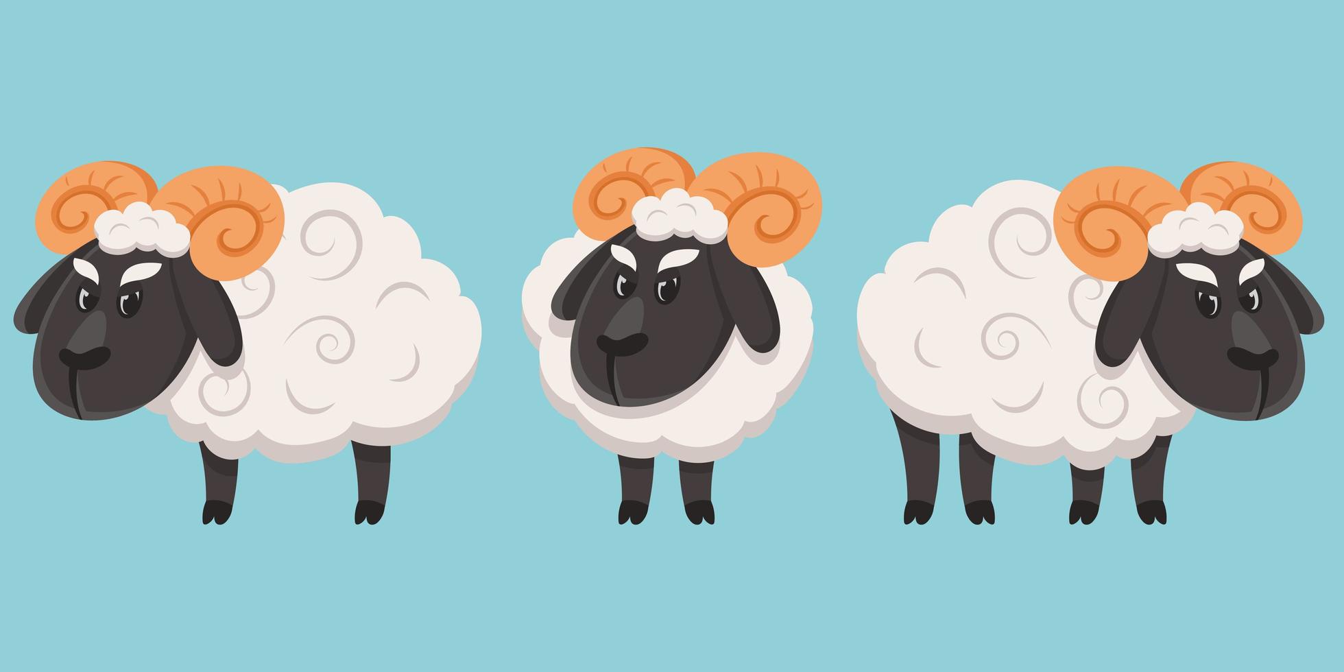 Male sheep in different poses vector