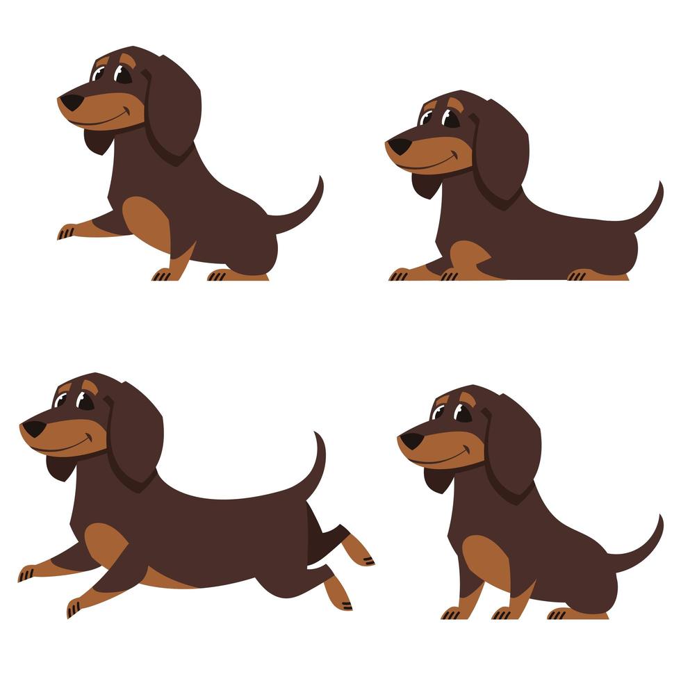 perro salchicha en diferentes poses. vector