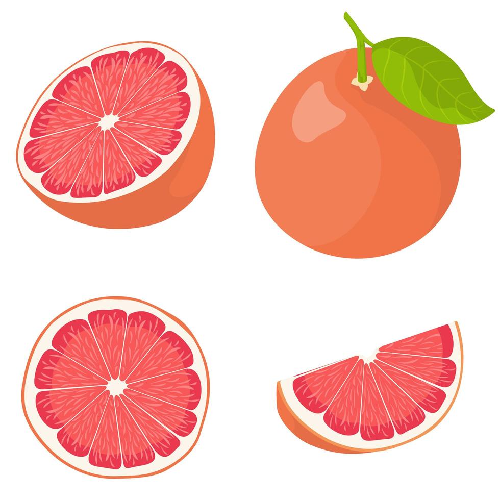 Whole and sliced grapefruit set vector