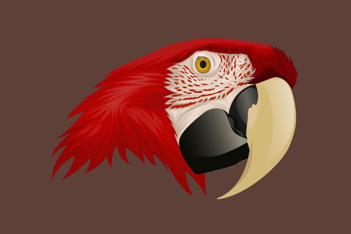 dibujo a mano de cabeza de loro rojo vector