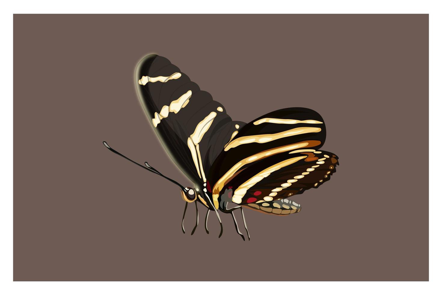 Beautiful cartoon butterfly hand drawing vector