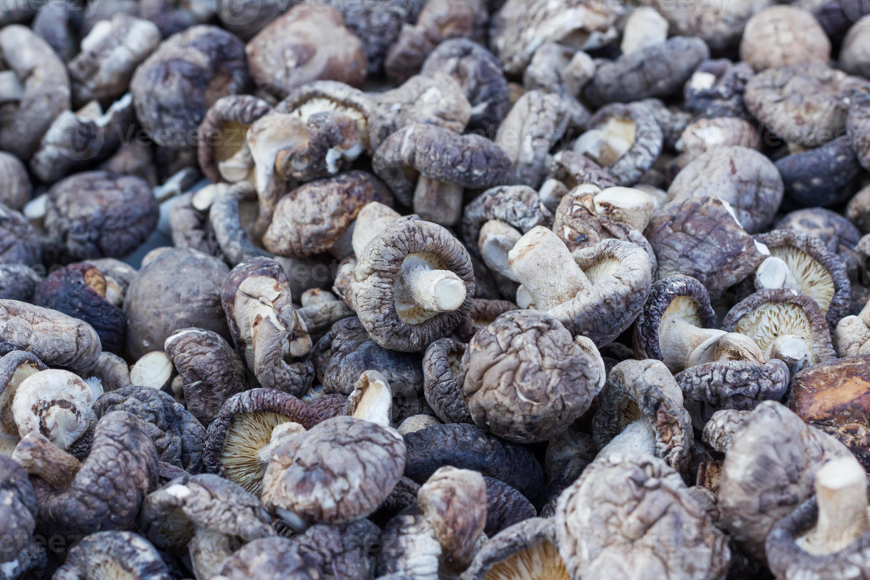 dried shiitake mushrooms photo