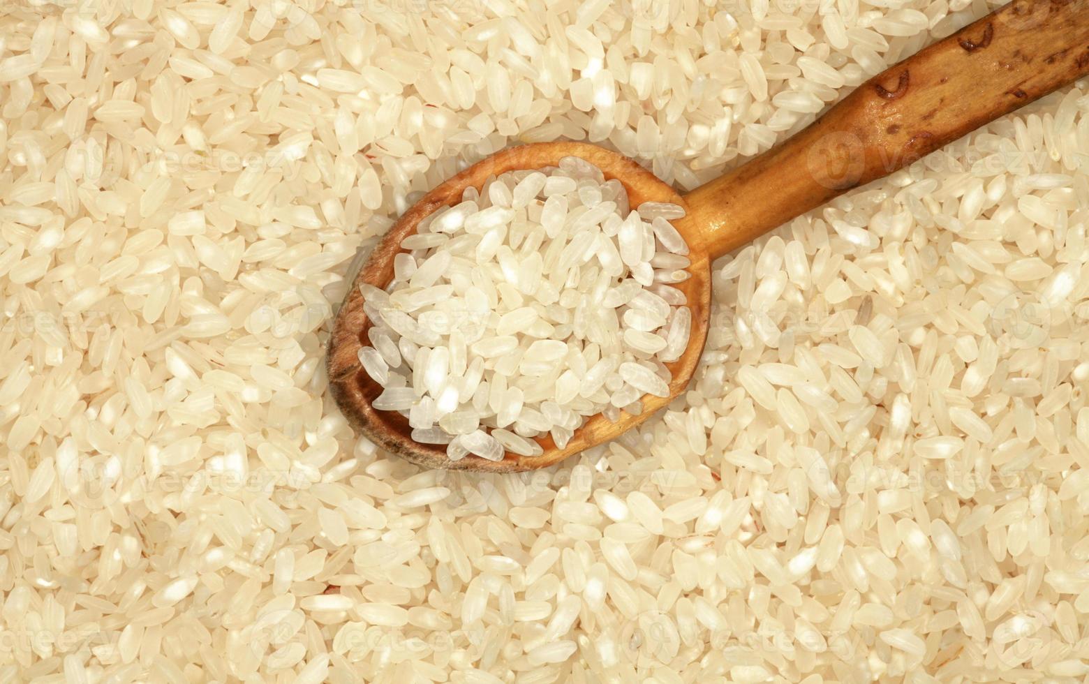 arroz foto