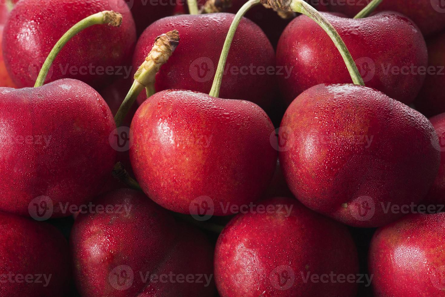 Red Cherry photo