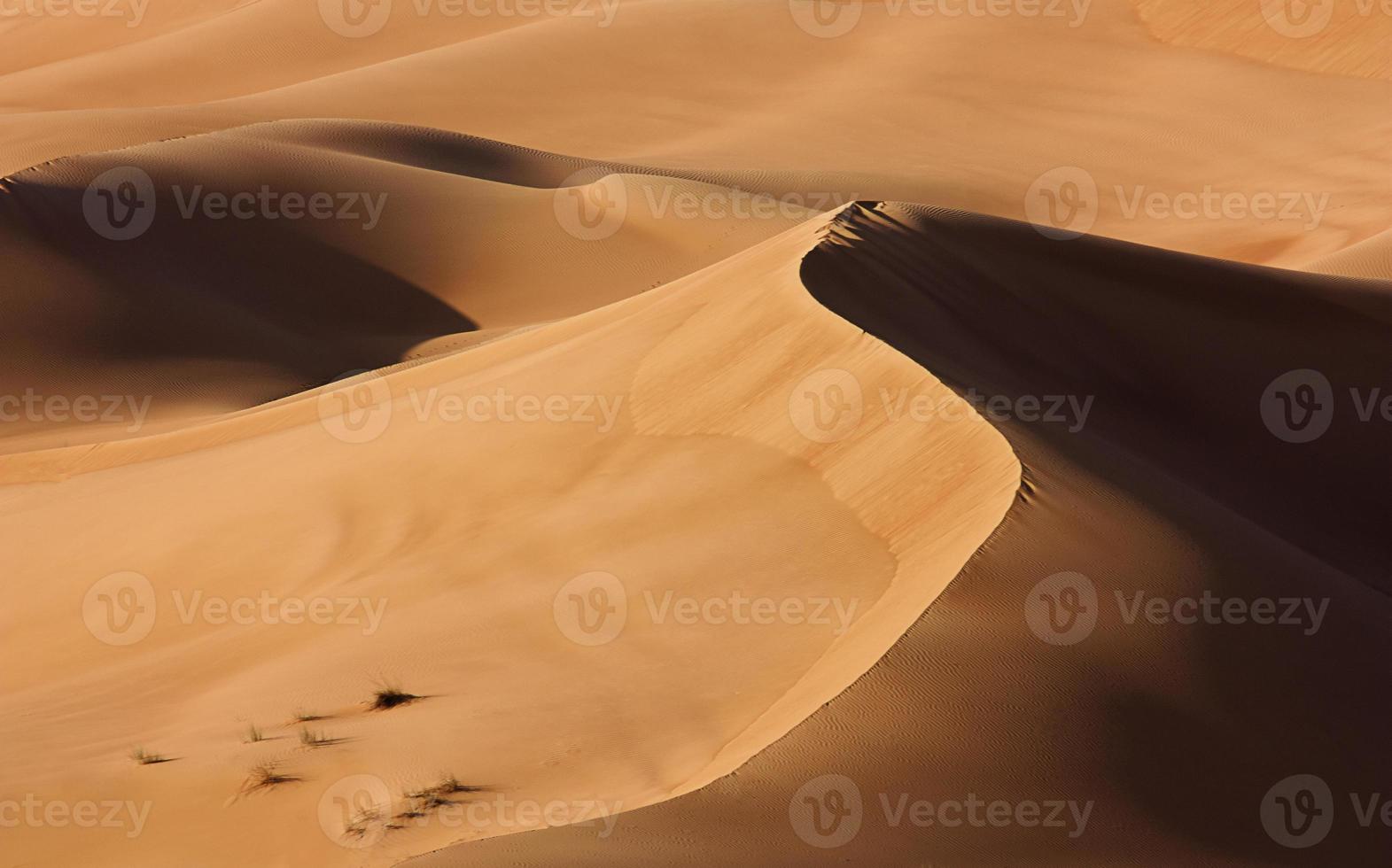 Dubai desert with beautiful sandunes photo