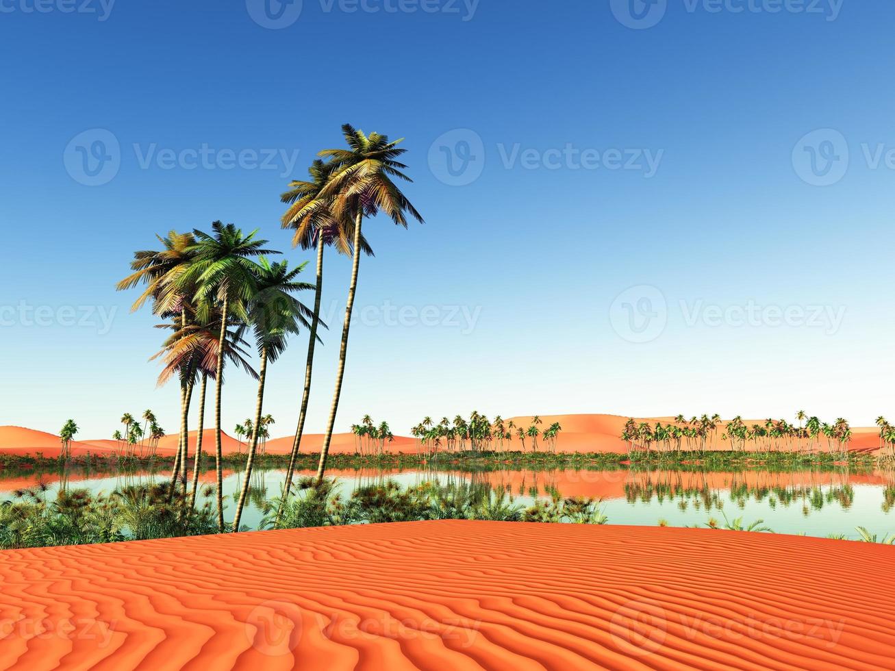 African oasis photo