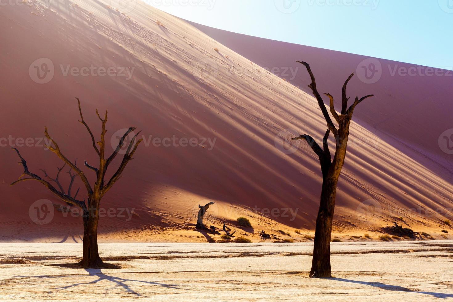 hermoso paisaje de vlei escondido en el desierto de namib foto