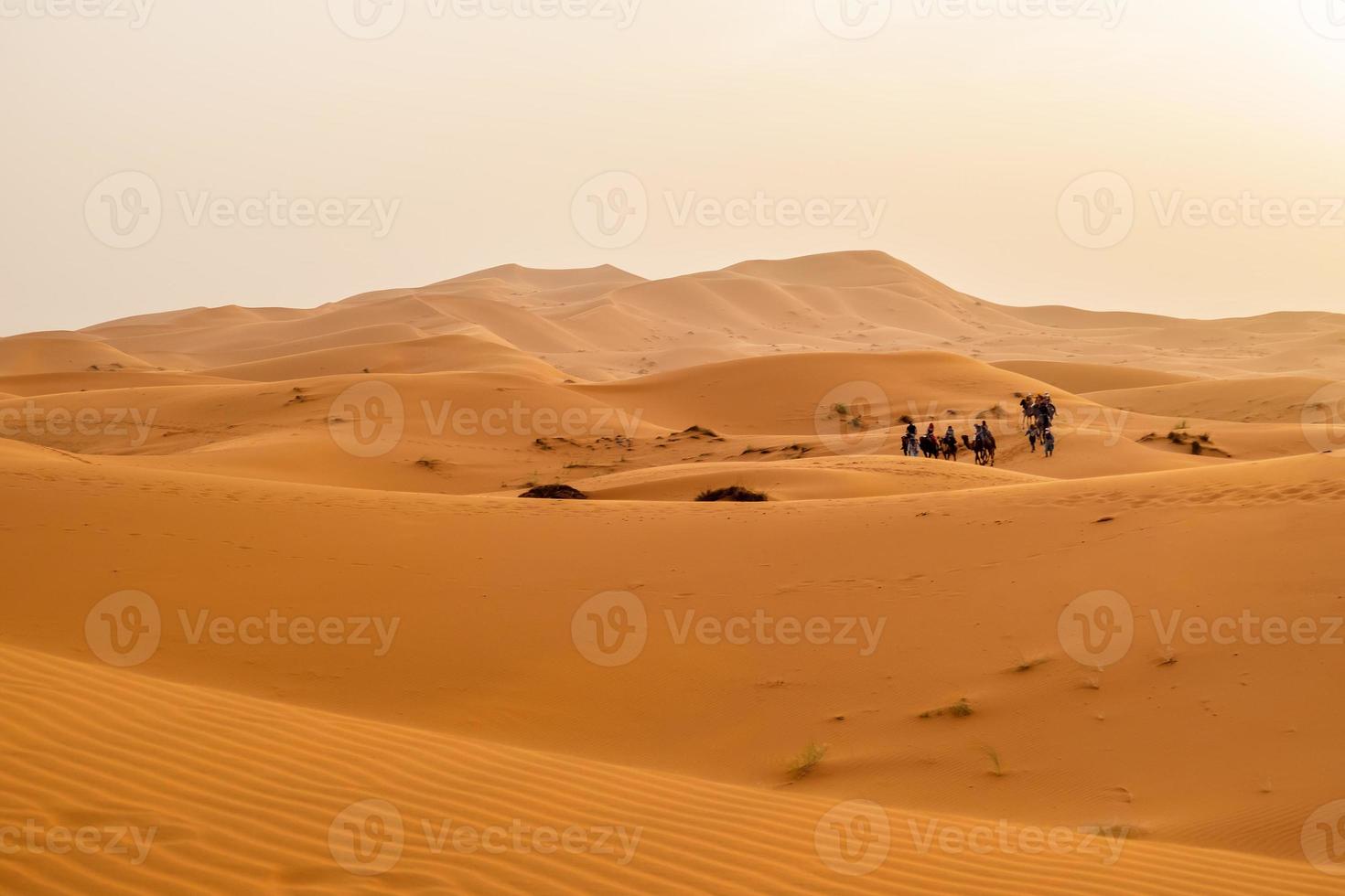 Sand dunes in Merzouga, Morocco photo