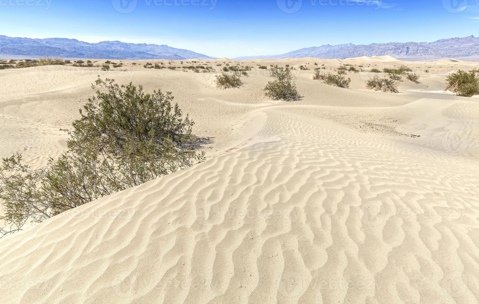 dunas de arena en el parque nacional death valley, california, estados unidos. foto