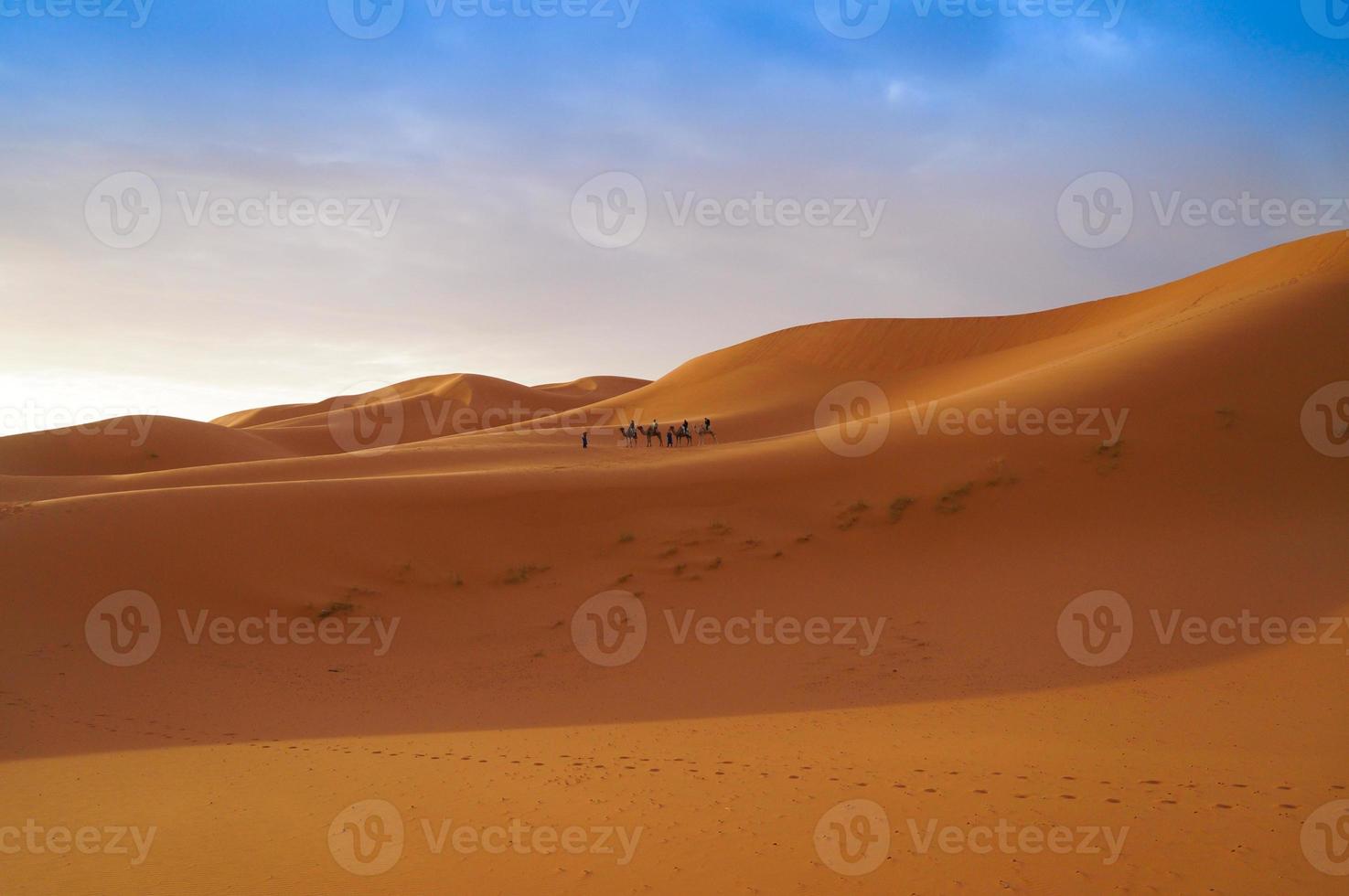 Tourists going for a camel trip in Sahara desert photo