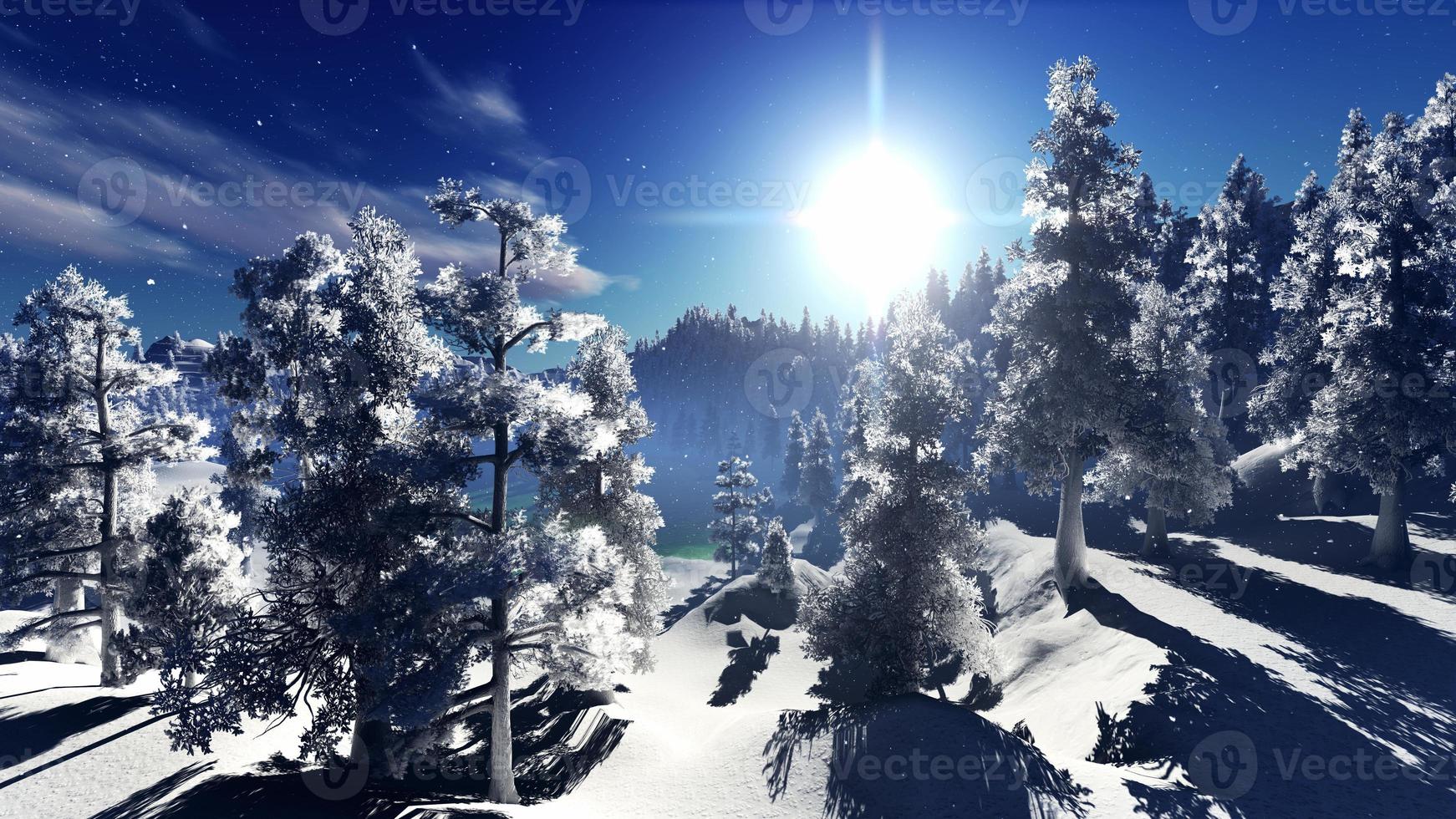Christmac forest in mountains photo