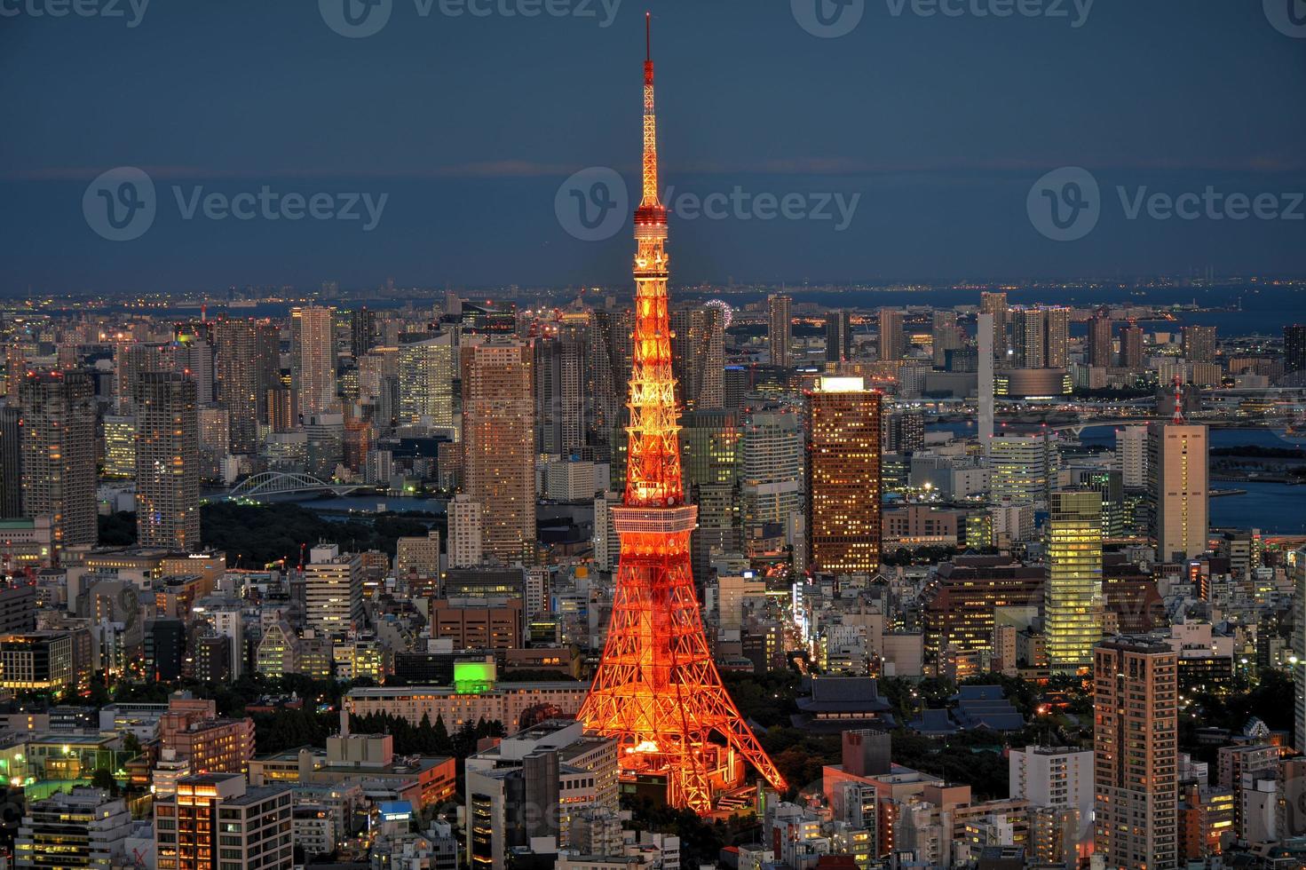 Tokyo area dense building nightscape and Tokyo tower photo