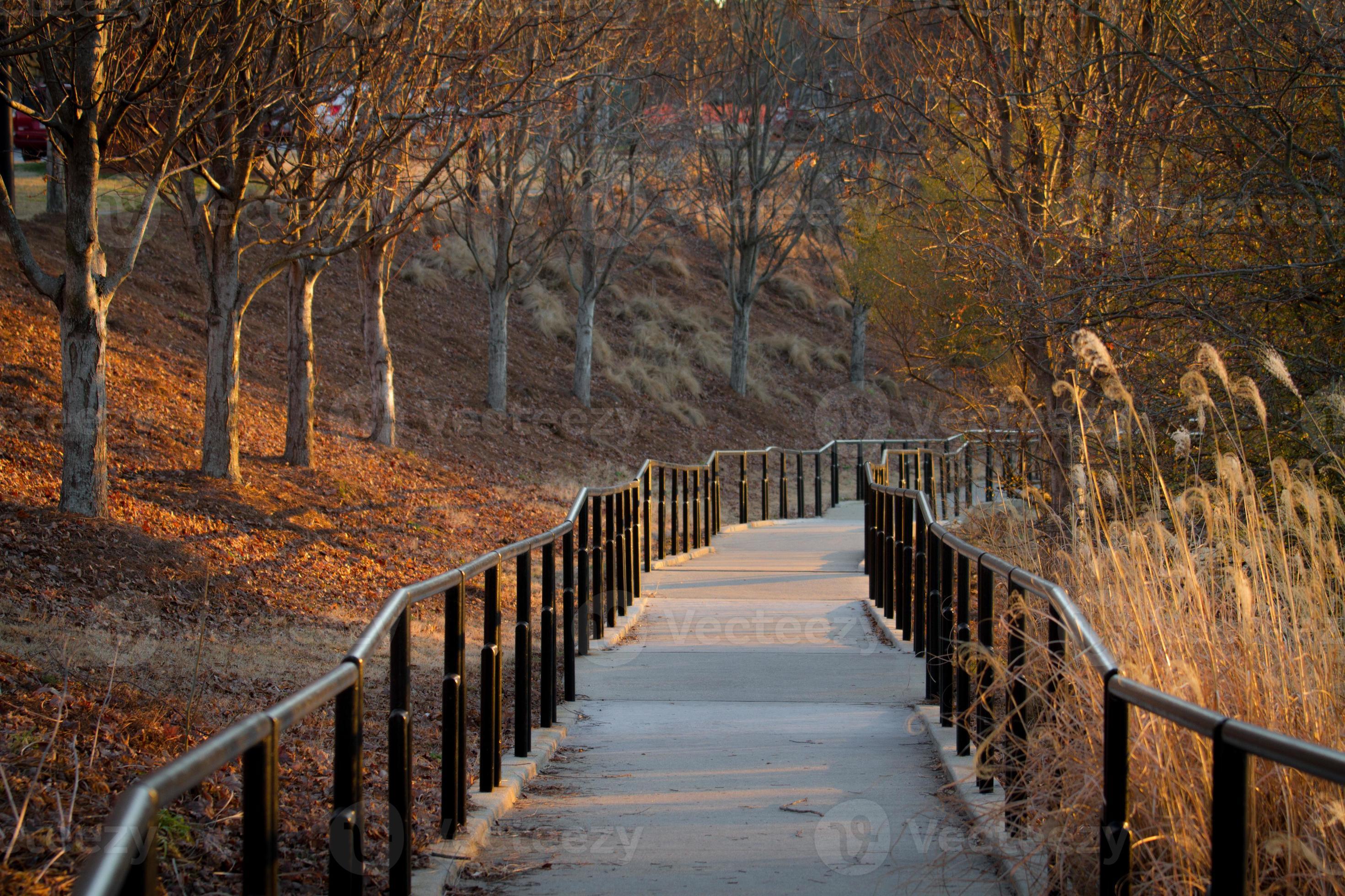 pathway 1322159 Stock Photo at Vecteezy