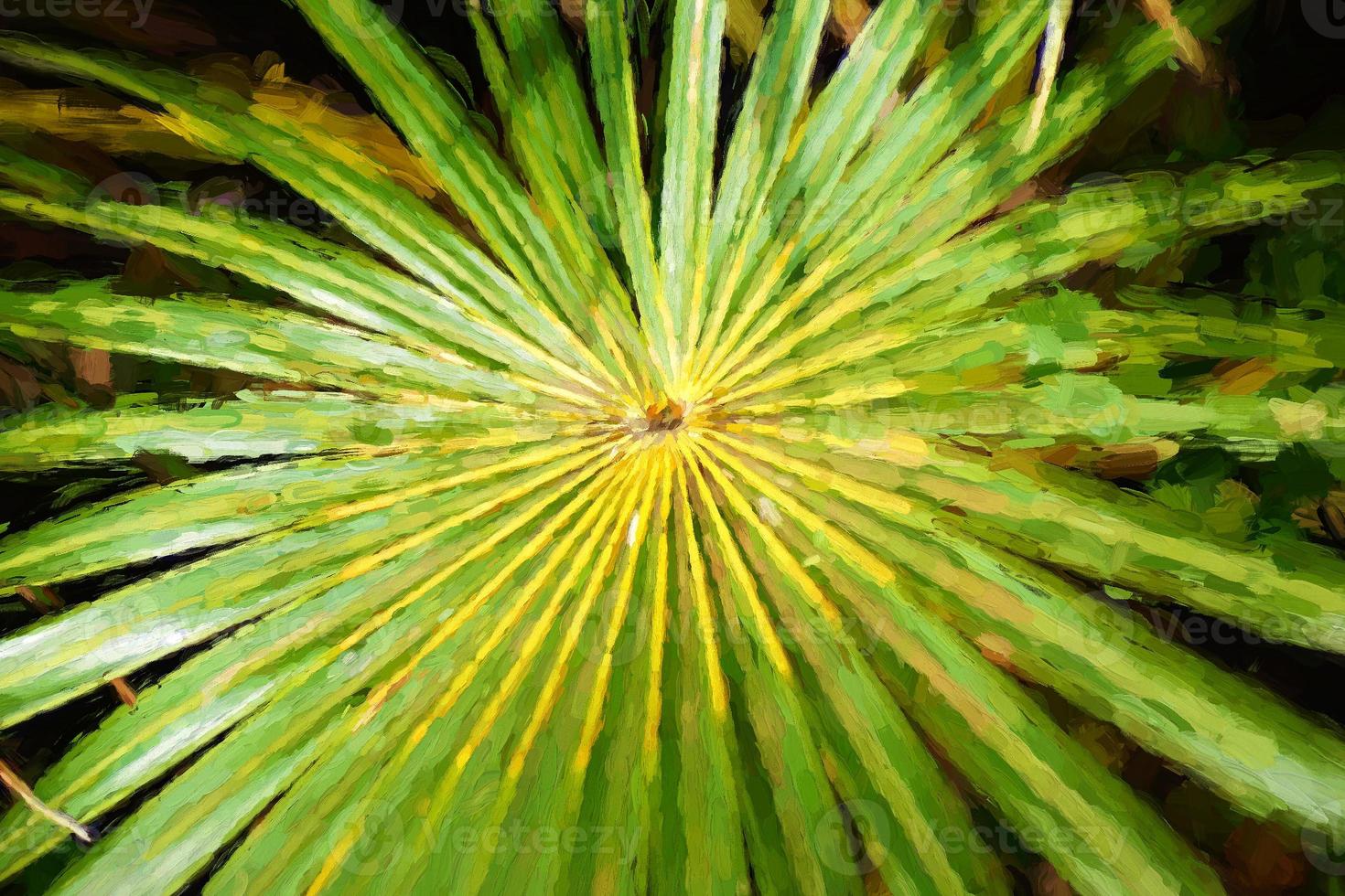 Arte digital, naturaleza tropical abstracta: hoja de palmera verde exótica foto