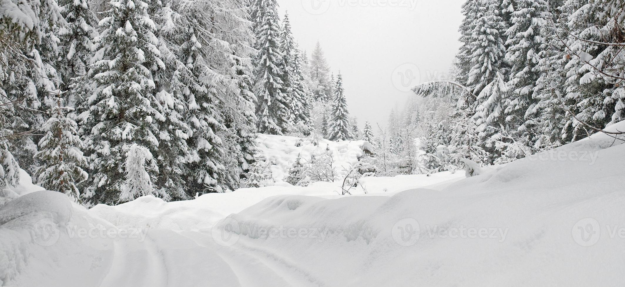 Snowy mountain in winter photo