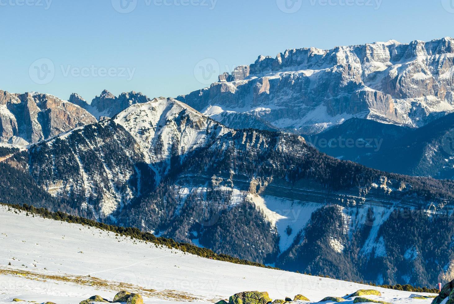 panorama de los dolomitas con picos nevados y coníferas foto