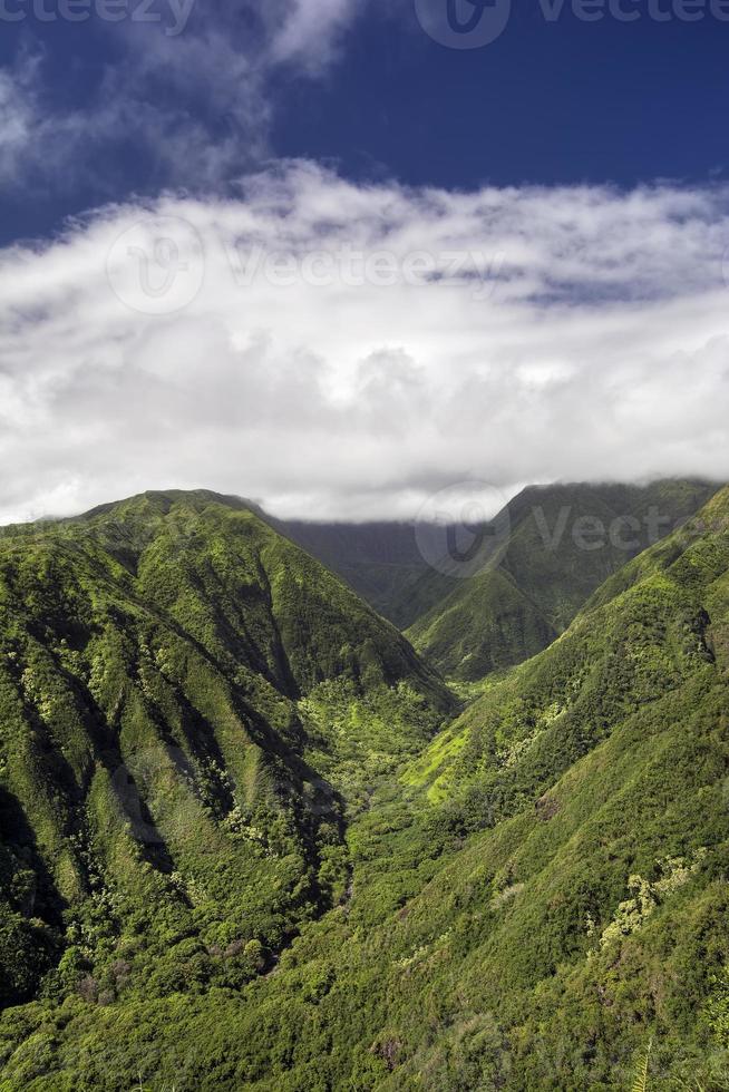 sendero waihee ridge, montañas del oeste de maui, hawai foto