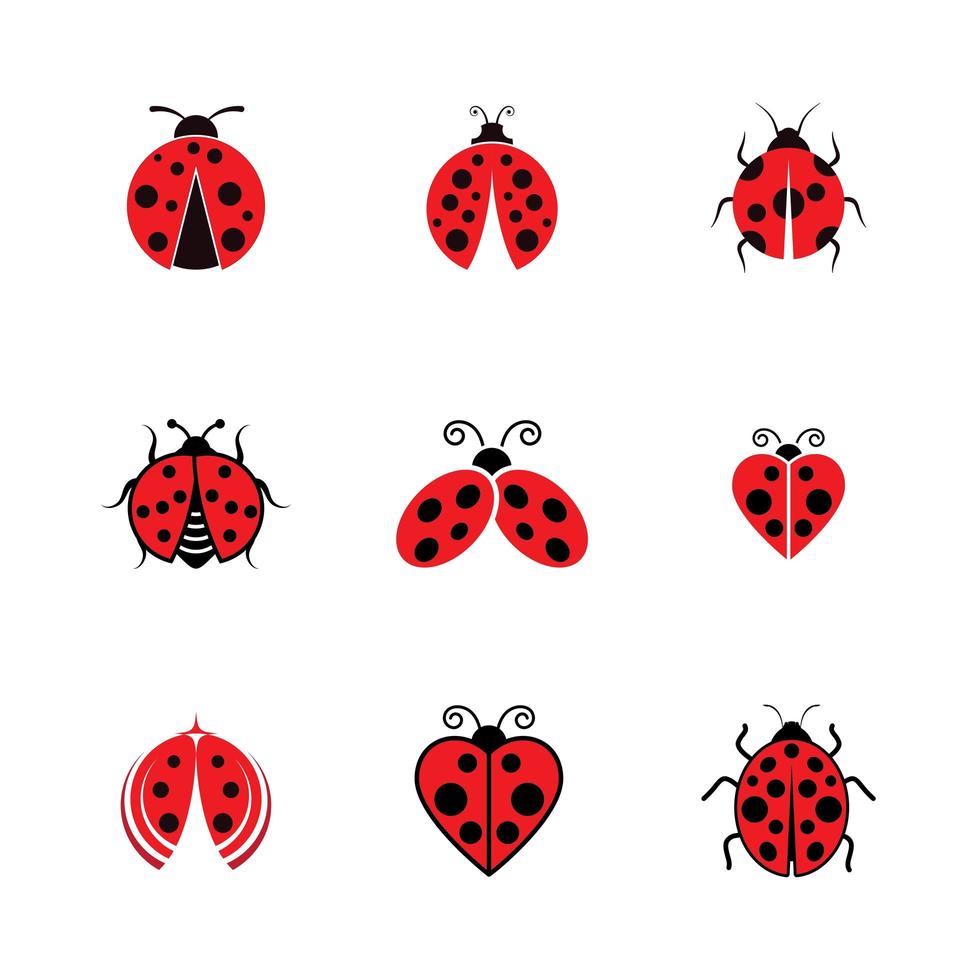 Ladybug icon set vector