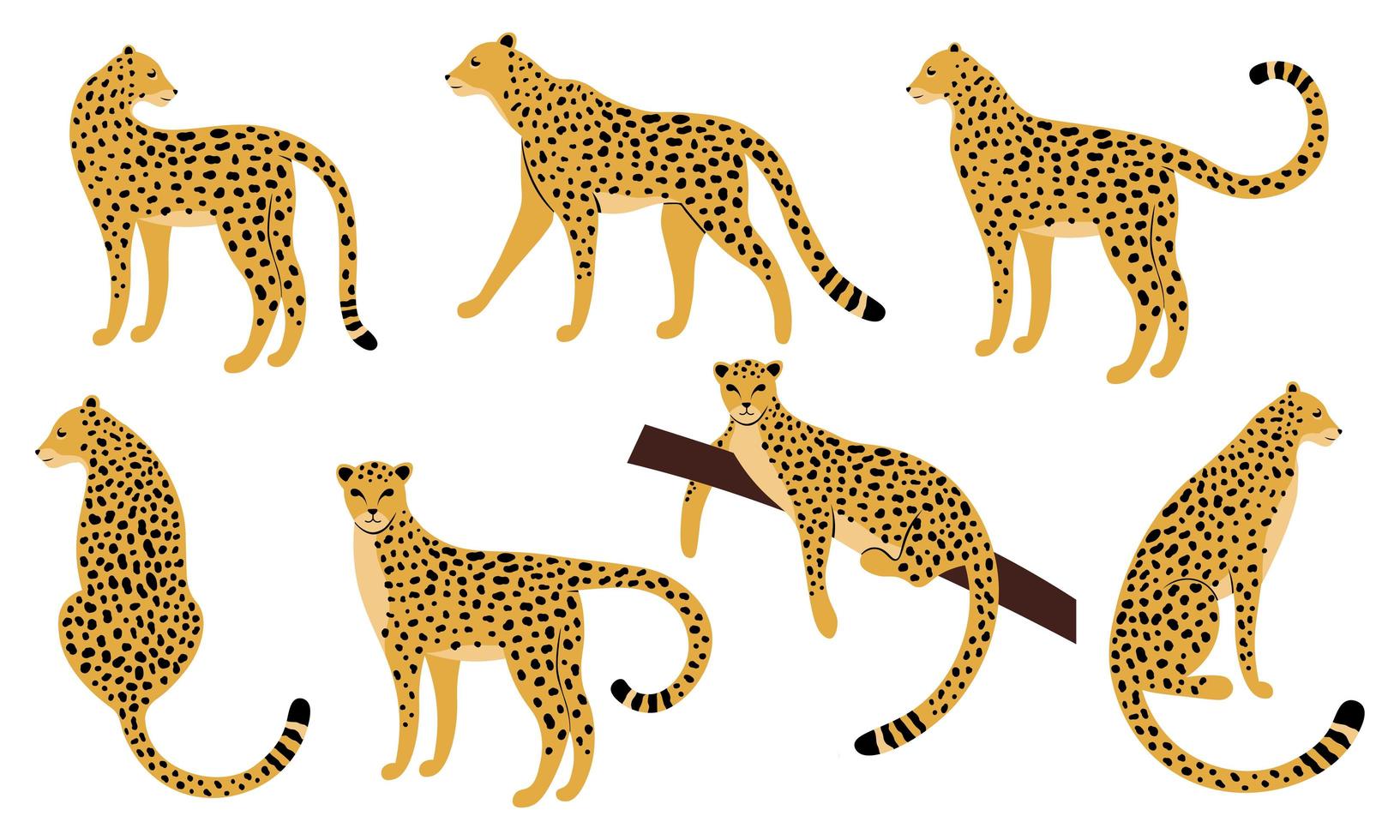 Set of hand drawn designs of leopards vector