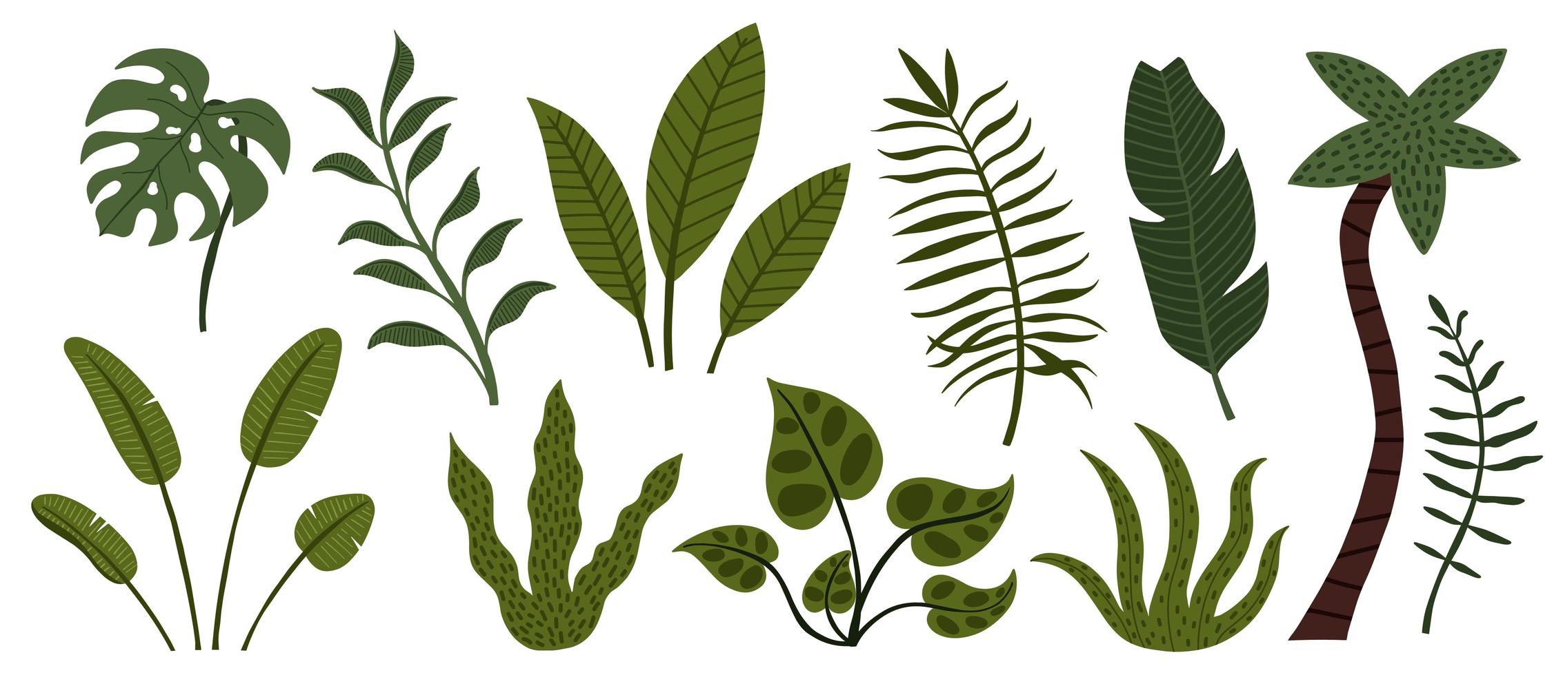 conjunto de hojas y árboles de la selva tropical dibujados a mano vector