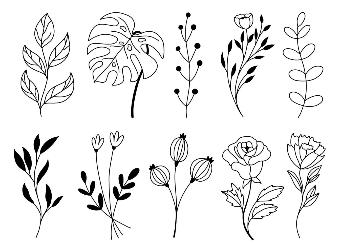 Set of doodle hand drawn floral elements vector