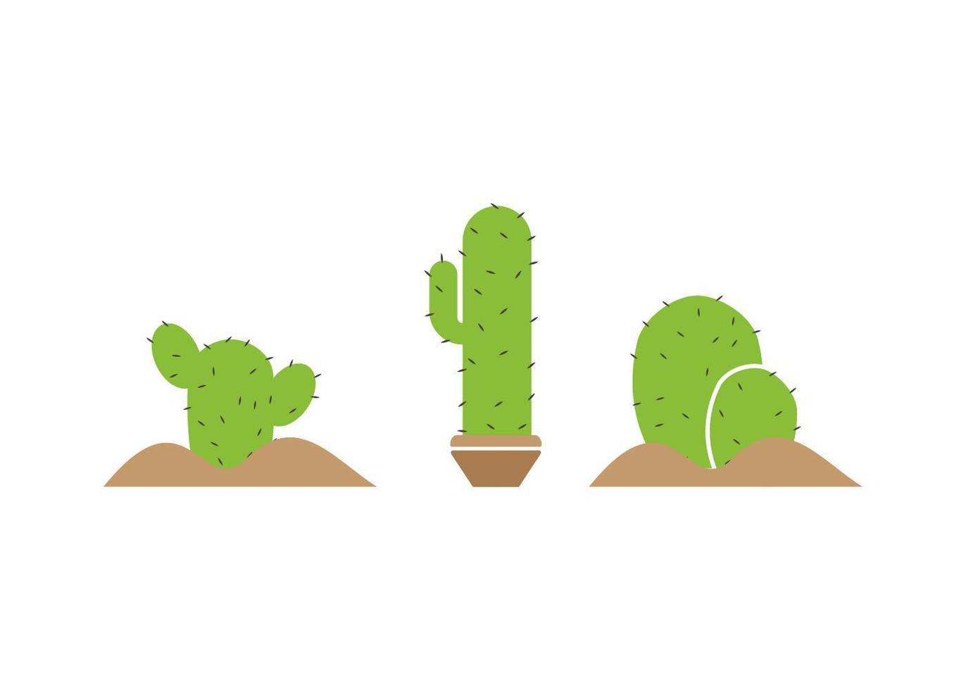 Cactus icon set  vector