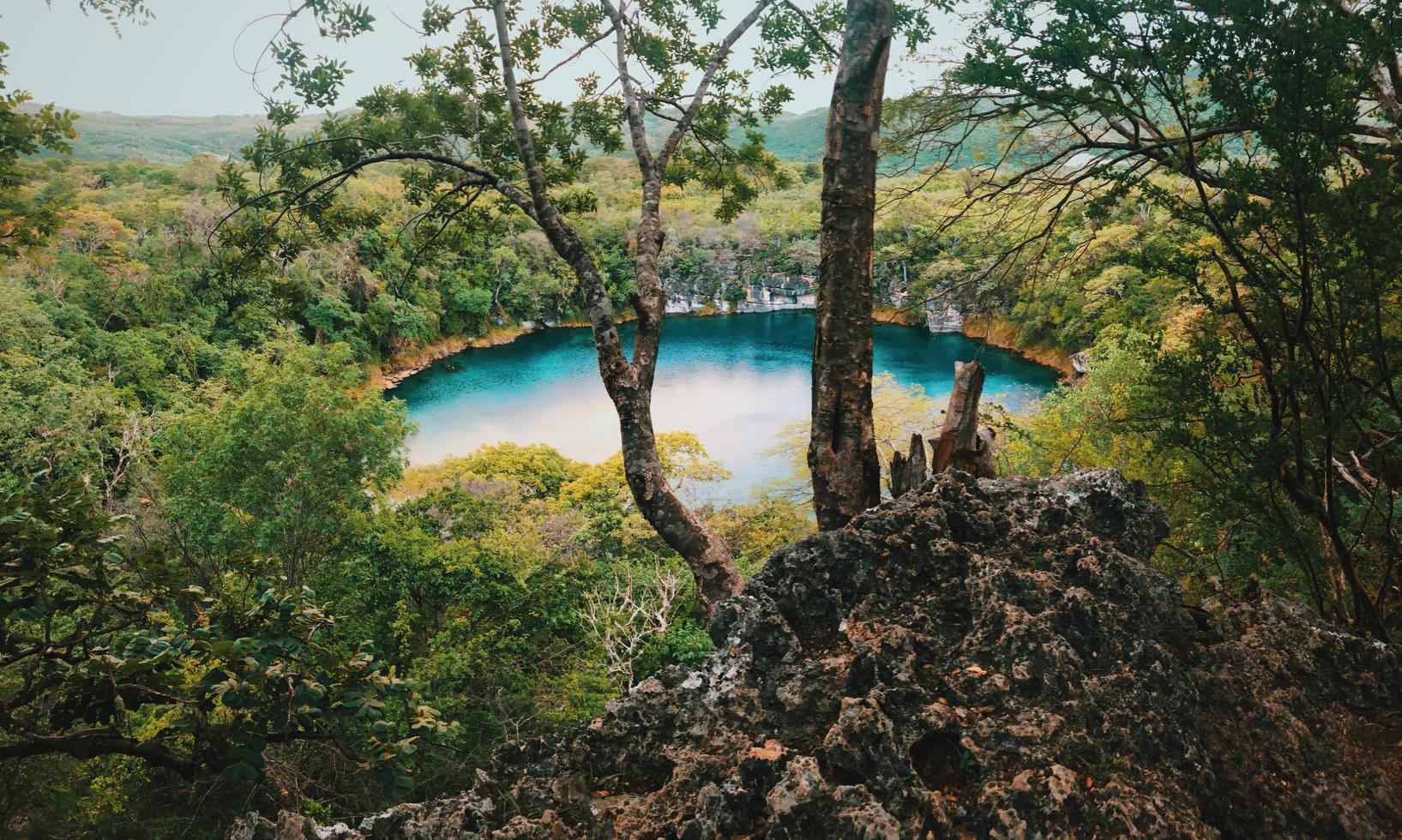 cuerpo de agua rodeado de árboles foto