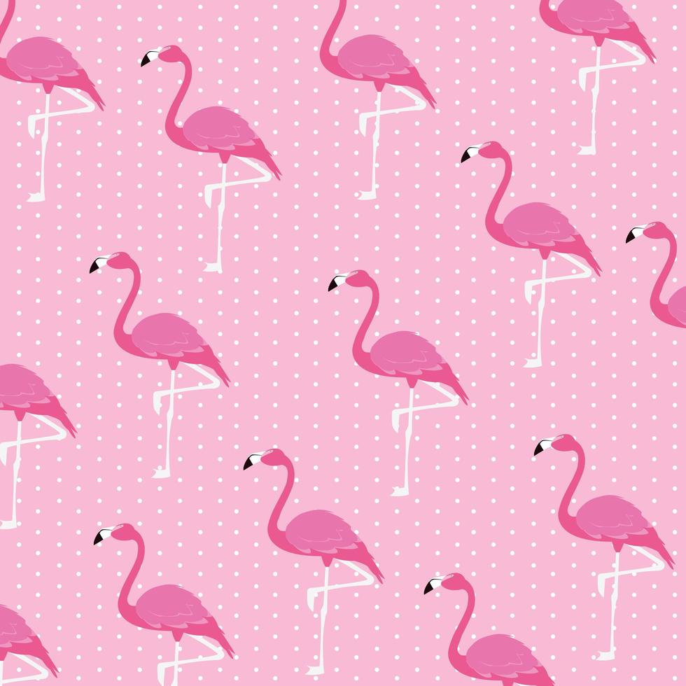 Beautiful flamingos birds flock pattern vector