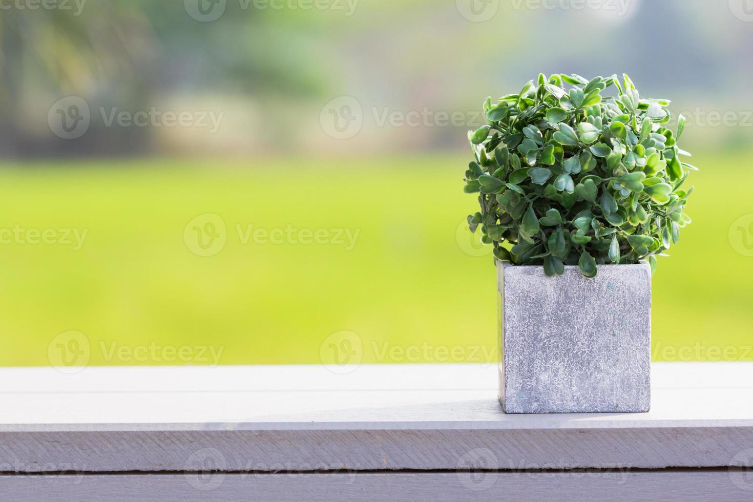 Artificial plant 1332398 Stock Photo at Vecteezy