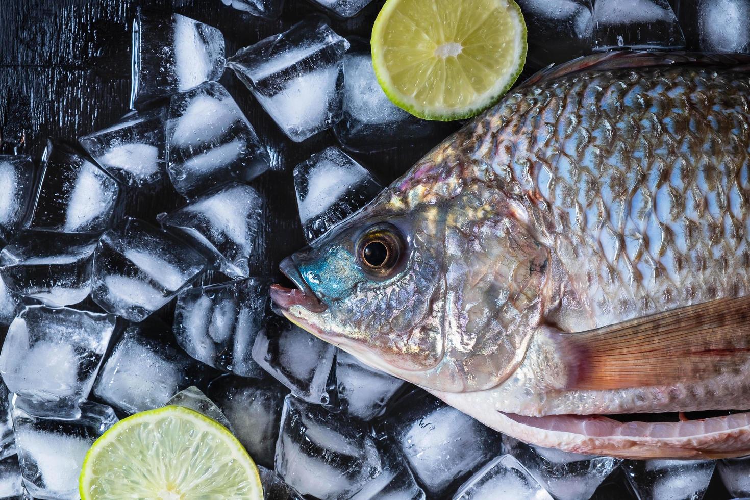 Fresh tilapia fish on ice with lemons photo