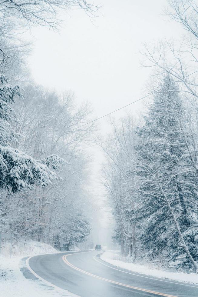 Road in a winter landscape photo