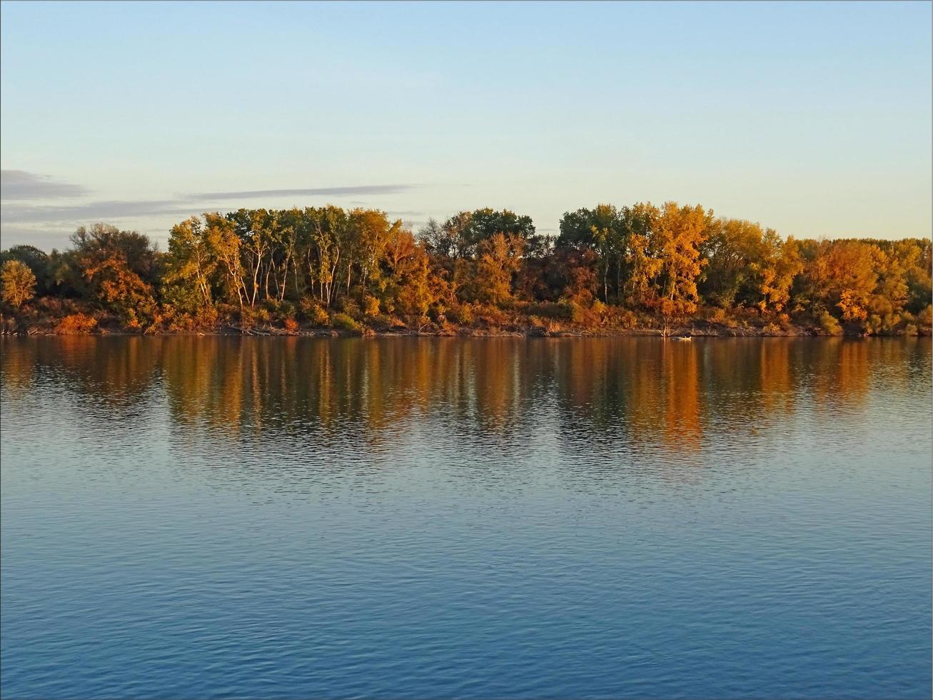 Autumn trees reflected in water photo