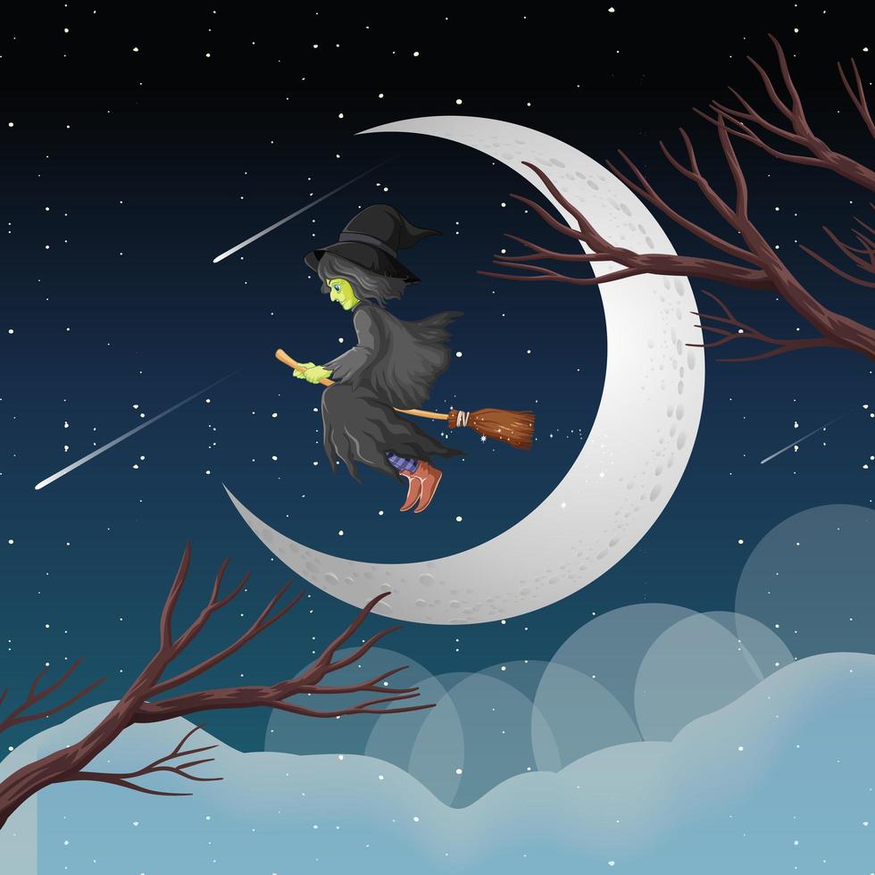 Witch riding a broom at night vector