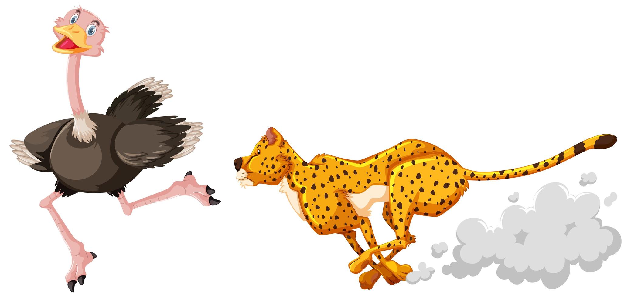 Cartoon leopard chasing an ostrich vector