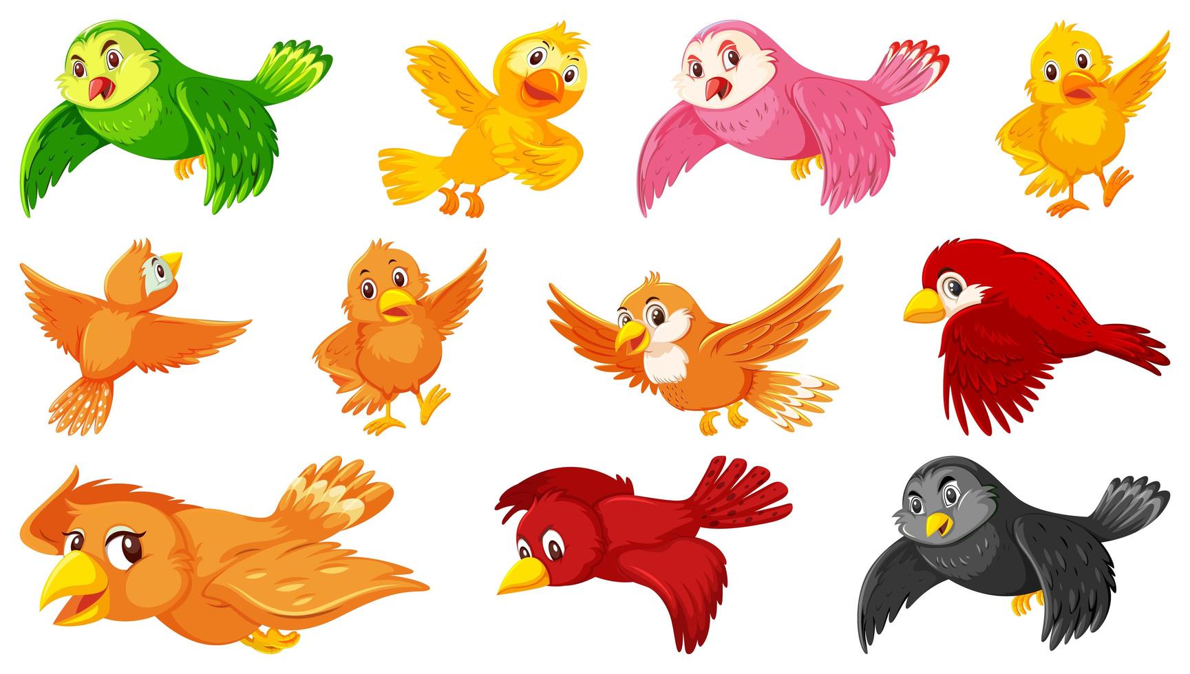 Set of bird cartoon characters vector