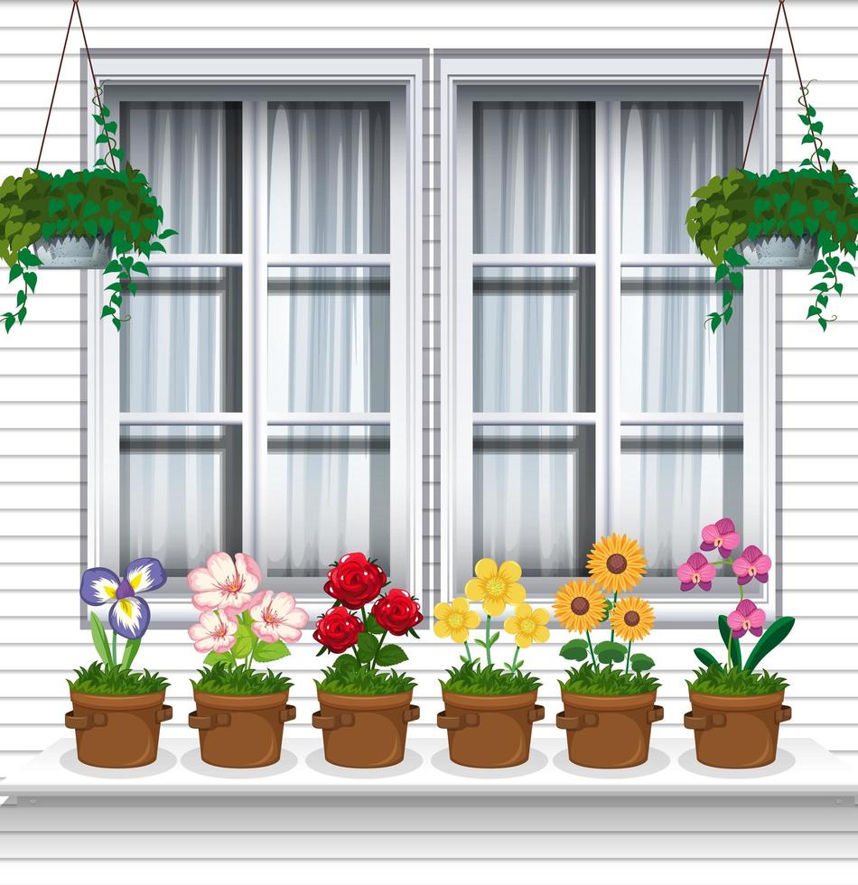 Potted flowers by the window vector