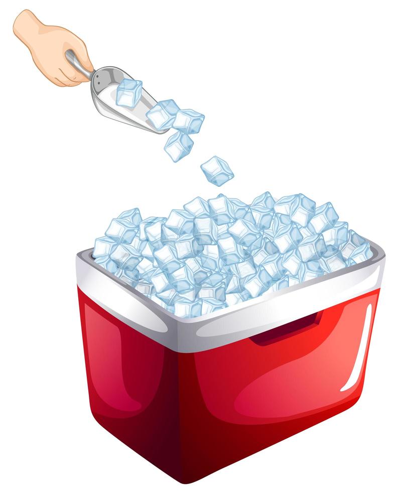 Cooler with ice cubes vector