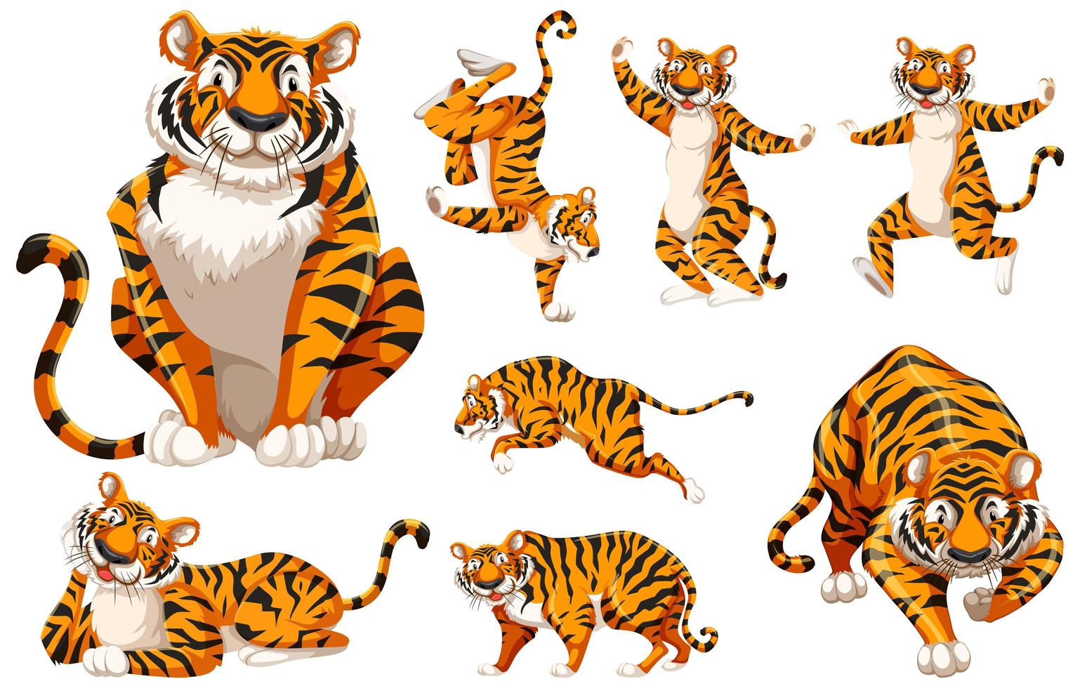 personaje de dibujos animados conjunto de tigre vector